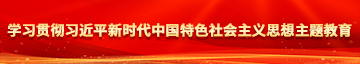 大黑鸡巴插逼无码一区视频学习贯彻习近平新时代中国特色社会主义思想主题教育